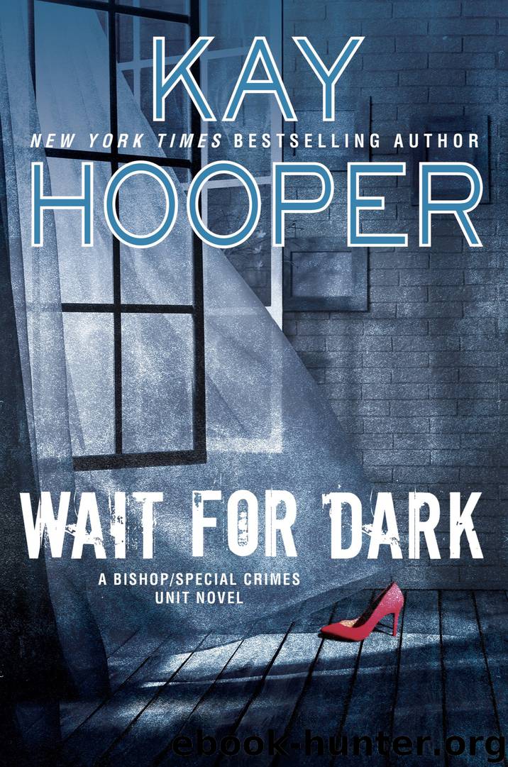 Wait for Dark by Kay Hooper free ebooks download